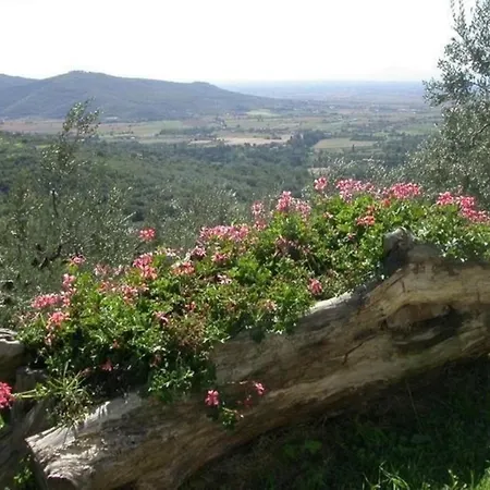 Ferienwohnung Fuer 4 Personen Ca 120 M In Cortona, Toskana Provinz Arezzo * Cortona